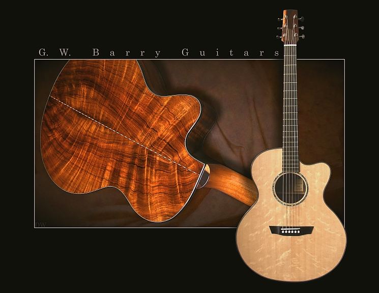 GW Barry Guitars