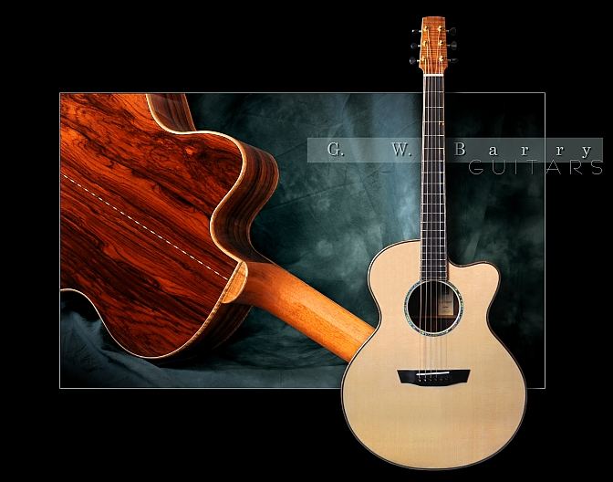 GW Barry Guitars