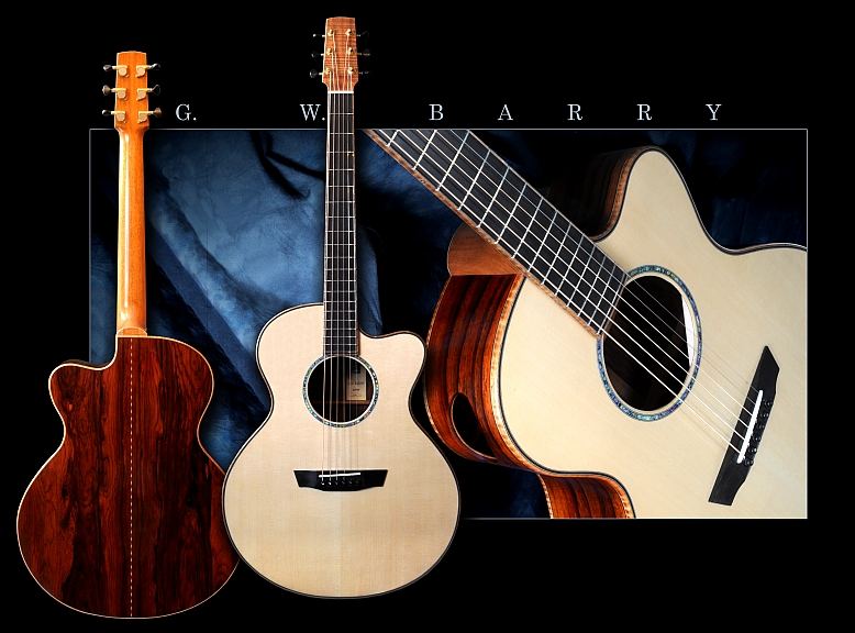 GW Barry Guitars
