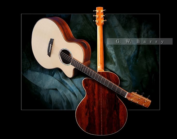 GW Barry Guitars