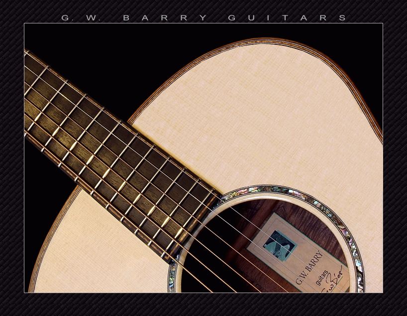 GW Barry Guitars