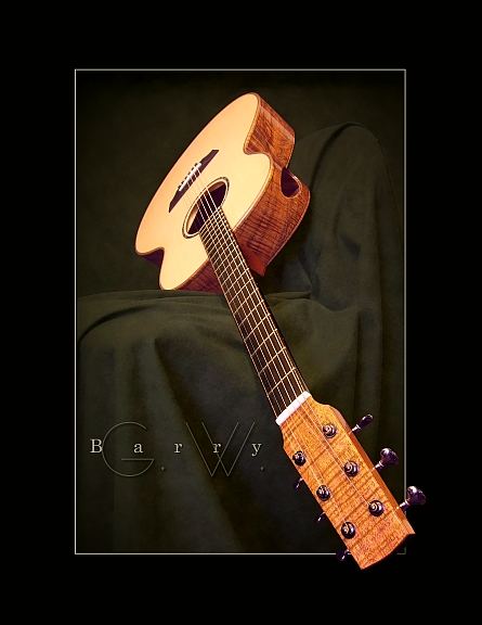 GW Barry Guitars