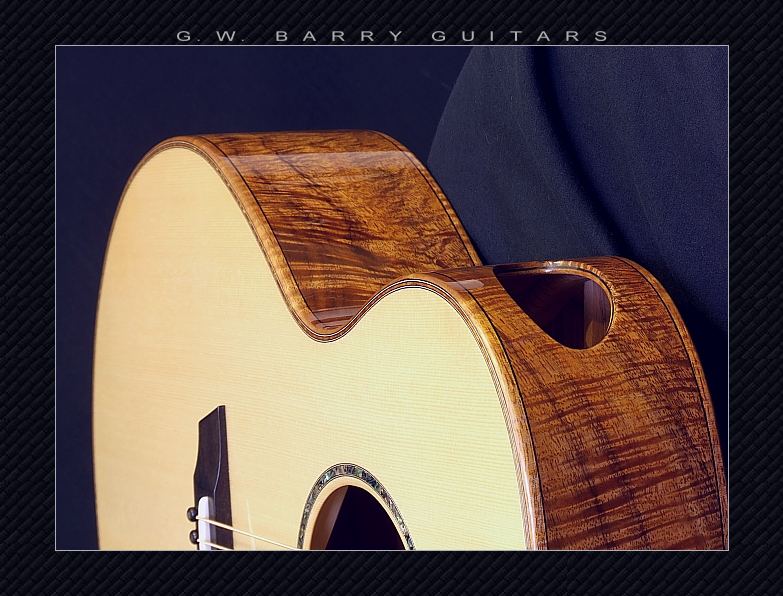GW Barry Guitars