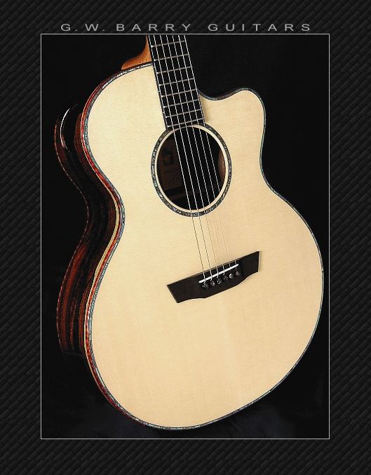 GW Barry Guitars