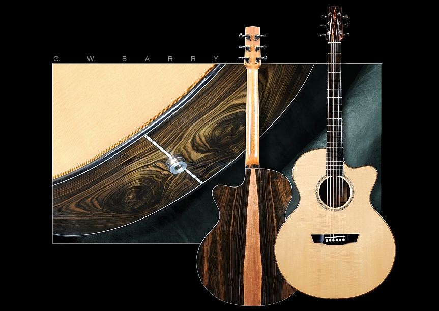 GW Barry Guitars