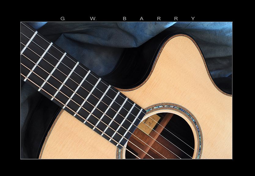 GW Barry Guitars