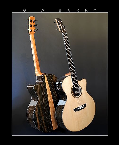 GW Barry Guitars