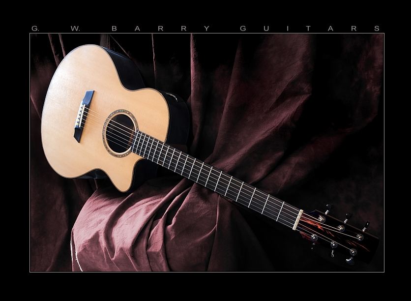 GW Barry Guitars