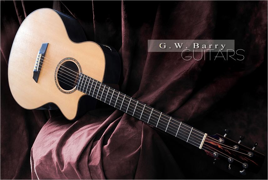 GW Barry Guitars